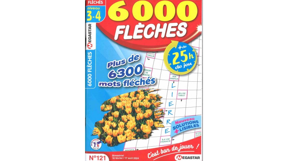 MG 6000 FLÉCHÉS NIVEAU 3-4 (to be translated)